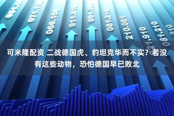 可米隆配资 二战德国虎、豹坦克华而不实?若没有这些动物,恐怕德国早已败北