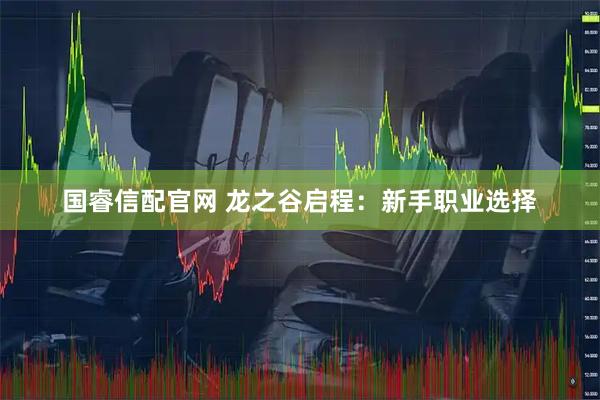 国睿信配官网 龙之谷启程：新手职业选择