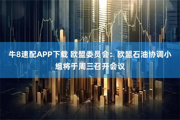 牛8速配APP下载 欧盟委员会：欧盟石油协调小组将于周三召开会议